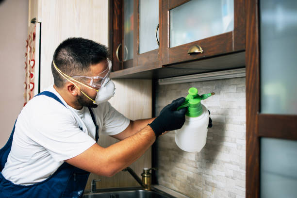 Best Pest Control Near Me  in Bayou Lourse, LA