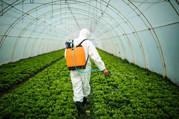 Best Ant Control Services  in Bayou Lourse, LA