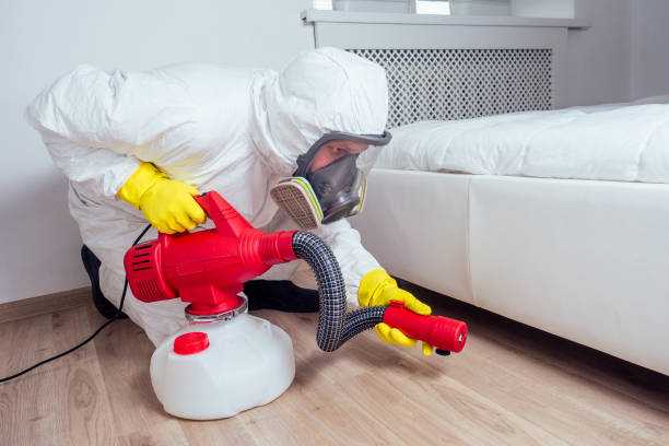Best Emergency Pest Control  in Bayou Lourse, LA