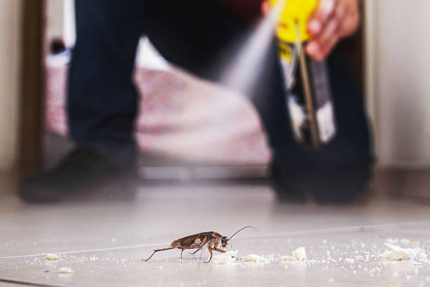 Pest Control Cost in Bayou Lourse, LA